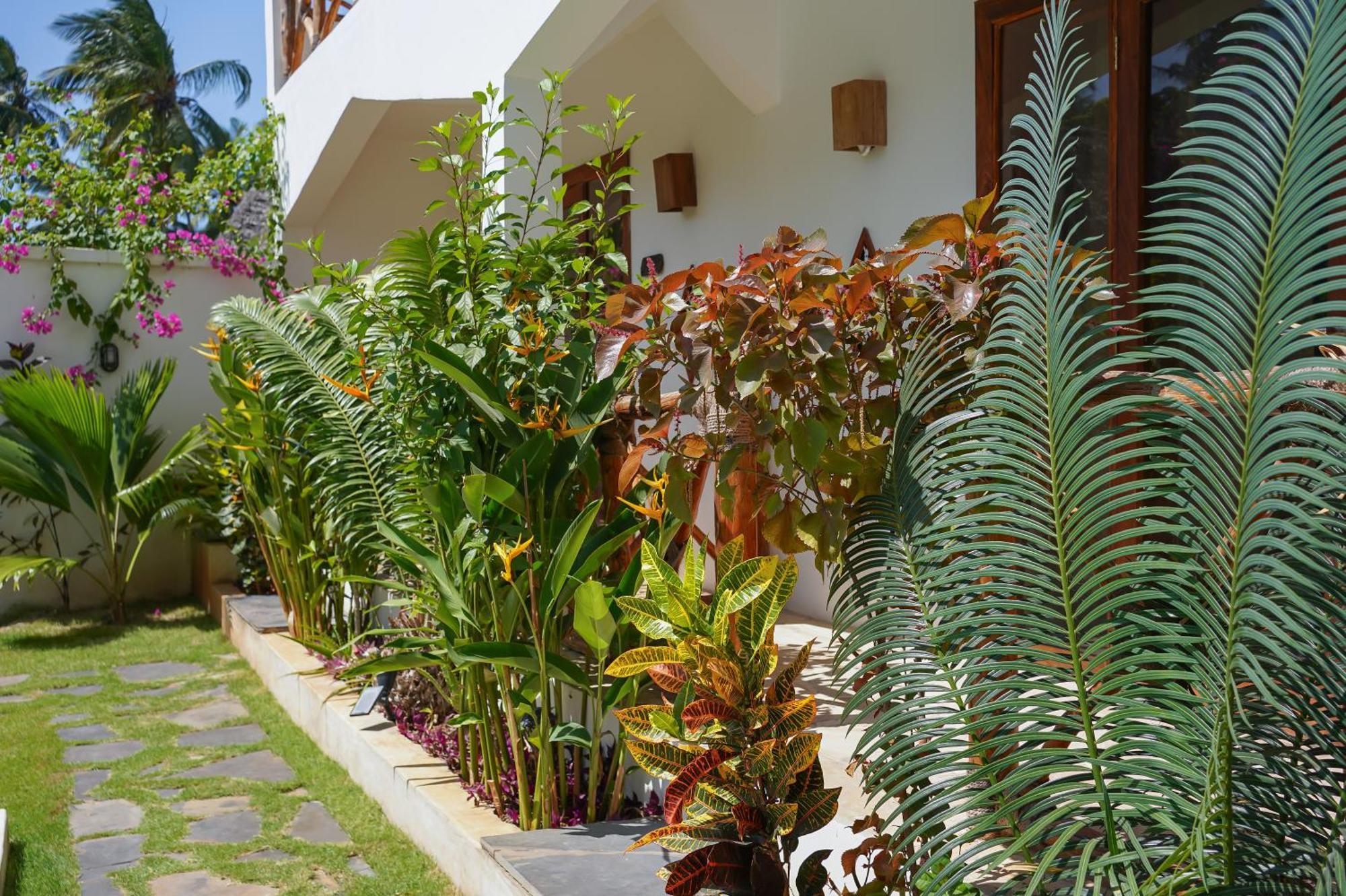 Mambo Cabana Làng Làng Pwani Mchangani Ngoại thất bức ảnh
