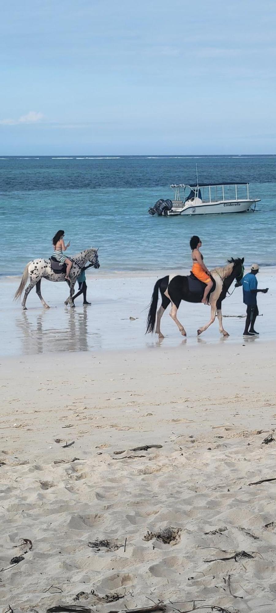 Mambo Cabana Làng Làng Pwani Mchangani Ngoại thất bức ảnh