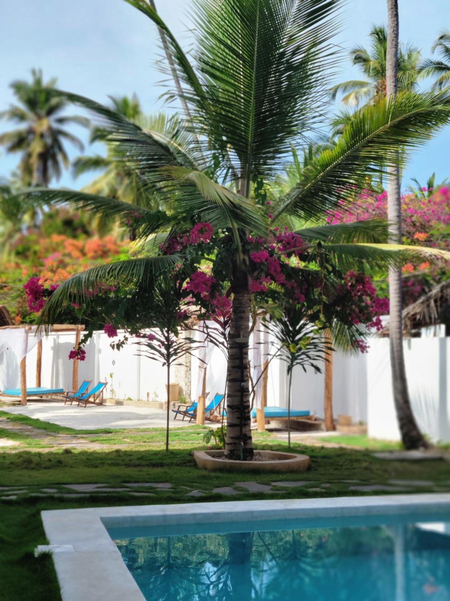 Mambo Cabana Làng Làng Pwani Mchangani Ngoại thất bức ảnh